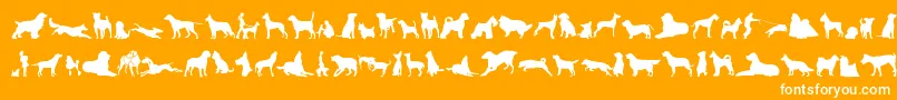 CanDogTfb Font – White Fonts on Orange Background
