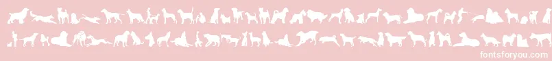 CanDogTfb Font – White Fonts on Pink Background