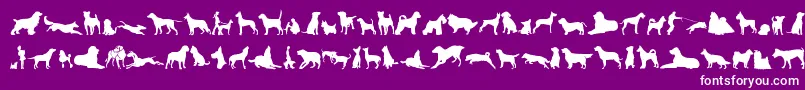 CanDogTfb Font – White Fonts on Purple Background