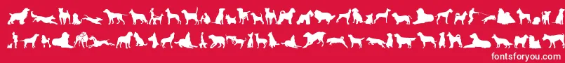 フォントCanDogTfb – 赤い背景に白い文字
