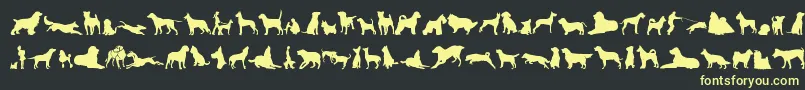 CanDogTfb Font – Yellow Fonts on Black Background