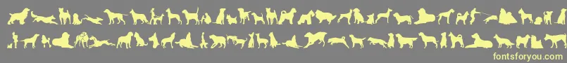 CanDogTfb Font – Yellow Fonts on Gray Background