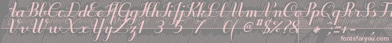 フォントPurpledecodemo – 灰色の背景にピンクのフォント