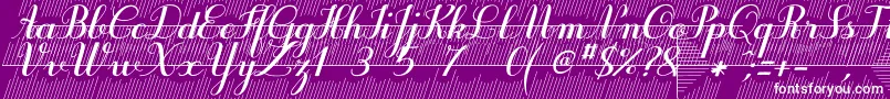 Purpledecodemo Font – White Fonts on Purple Background