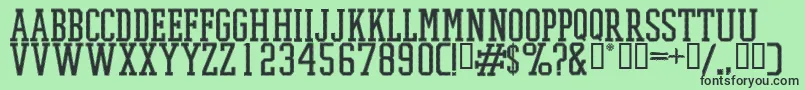 PromeshStitchRegular Font – Black Fonts on Green Background
