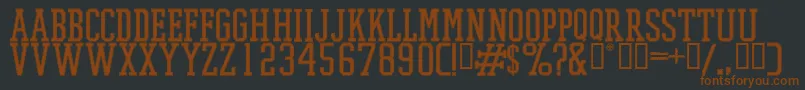 PromeshStitchRegular Font – Brown Fonts on Black Background
