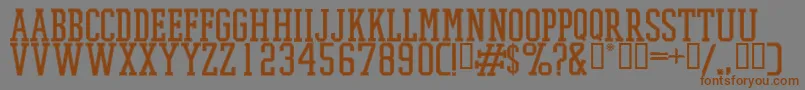 PromeshStitchRegular Font – Brown Fonts on Gray Background