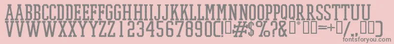 PromeshStitchRegular Font – Gray Fonts on Pink Background