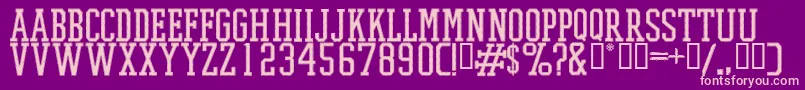 PromeshStitchRegular Font – Pink Fonts on Purple Background