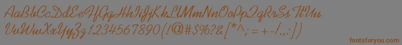 KaufmannRegularDb Font – Brown Fonts on Gray Background