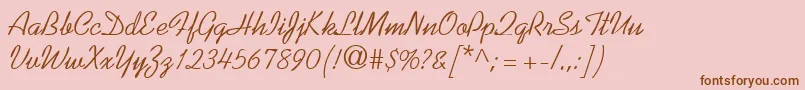 KaufmannRegularDb Font – Brown Fonts on Pink Background
