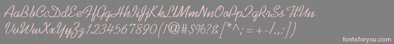 KaufmannRegularDb Font – Pink Fonts on Gray Background
