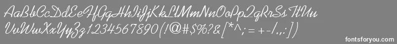 KaufmannRegularDb-Schriftart – Weiße Schriften auf grauem Hintergrund