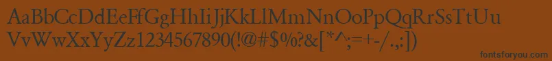 More about GaramondsskRegular Font GaramondsskRegular Font – Black Fonts on Brown Background