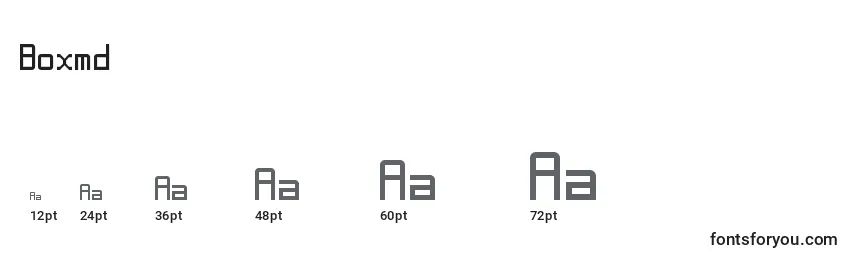 Boxmd Font Sizes