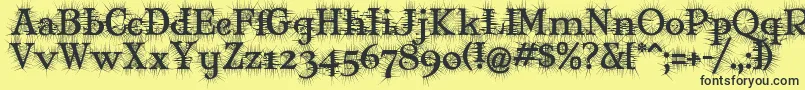フォントMaryJaneDegroot – 黒い文字の黄色い背景