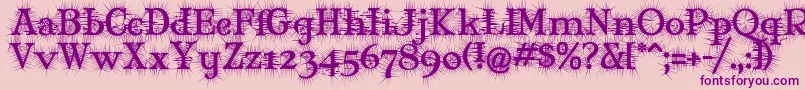 フォントMaryJaneDegroot – ピンクの背景に紫のフォント