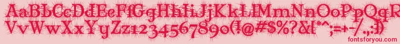 MaryJaneDegroot Font – Red Fonts on Pink Background