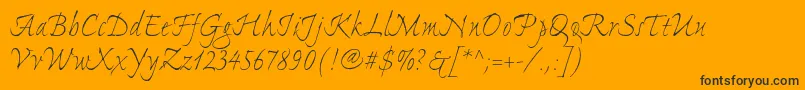 ExpontoproLight Font – Black Fonts on Orange Background