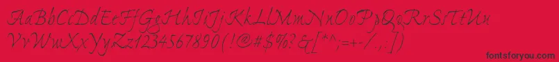 ExpontoproLight Font – Black Fonts on Red Background