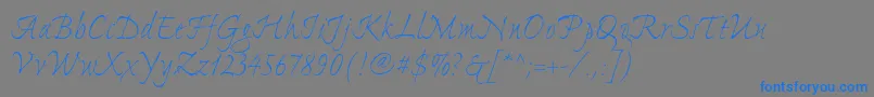 ExpontoproLight Font – Blue Fonts on Gray Background