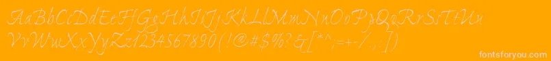 ExpontoproLight-Schriftart – Rosa Schriften auf orangefarbenem Hintergrund