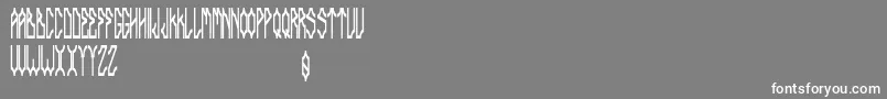 Delarocca-Schriftart – Weiße Schriften auf grauem Hintergrund