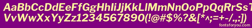 LibrefranklinBolditalic Font – Yellow Fonts on Purple Background