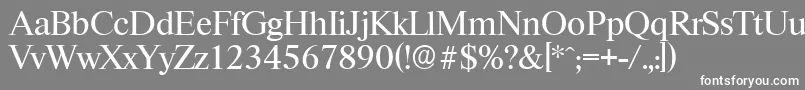 フォントRiccioneserialRegular – 灰色の背景に白い文字