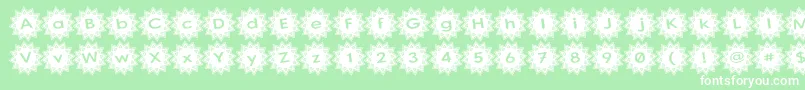 StargitVer2 Font – White Fonts on Green Background