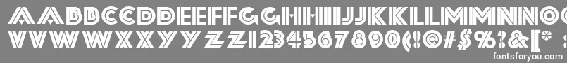 フォントForty – 灰色の背景に白い文字