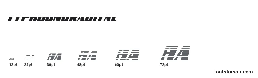 Typhoongradital Font Sizes