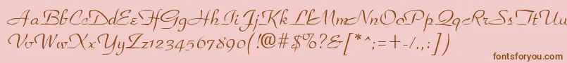 ParkplaceRegular Font – Brown Fonts on Pink Background