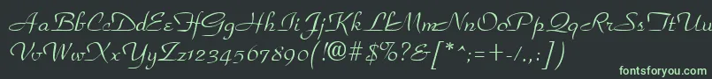 ParkplaceRegular Font – Green Fonts on Black Background