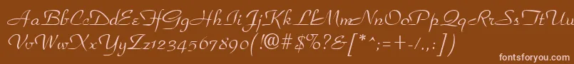 Шрифт ParkplaceRegular – розовые шрифты на коричневом фоне