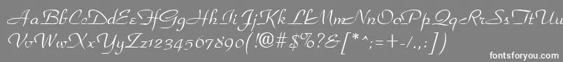 フォントParkplaceRegular – 灰色の背景に白い文字