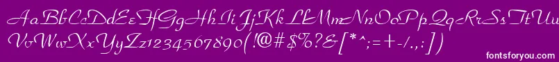 ParkplaceRegular Font – White Fonts on Purple Background