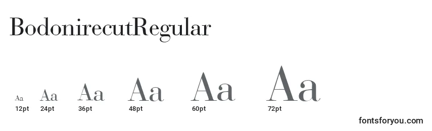 Размеры шрифта BodonirecutRegular