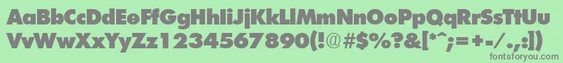 FuturistExtraheavyRegular Font – Gray Fonts on Green Background