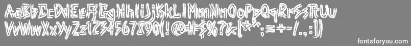 フォントPunk – 灰色の背景に白い文字