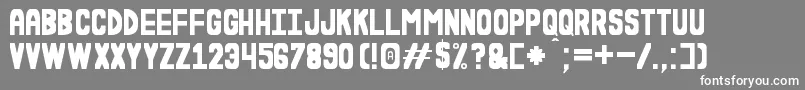 EsLaDuraWnSt Font – White Fonts on Gray Background