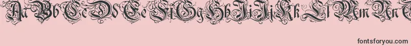 RothenburgDecorativeNormal Font – Black Fonts on Pink Background