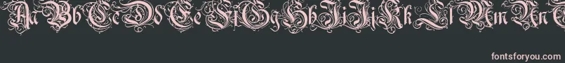 RothenburgDecorativeNormal Font – Pink Fonts on Black Background