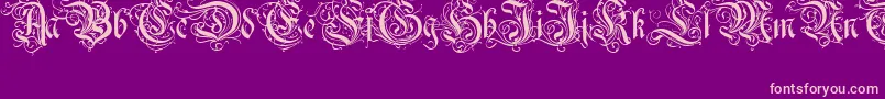 RothenburgDecorativeNormal Font – Pink Fonts on Purple Background