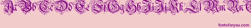 RothenburgDecorativeNormal-Schriftart – Violette Schriften auf rosa Hintergrund