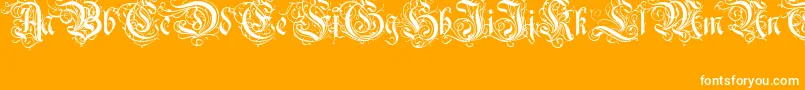 RothenburgDecorativeNormal-Schriftart – Weiße Schriften auf orangefarbenem Hintergrund