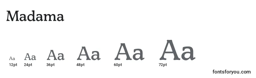 Размеры шрифта Madama
