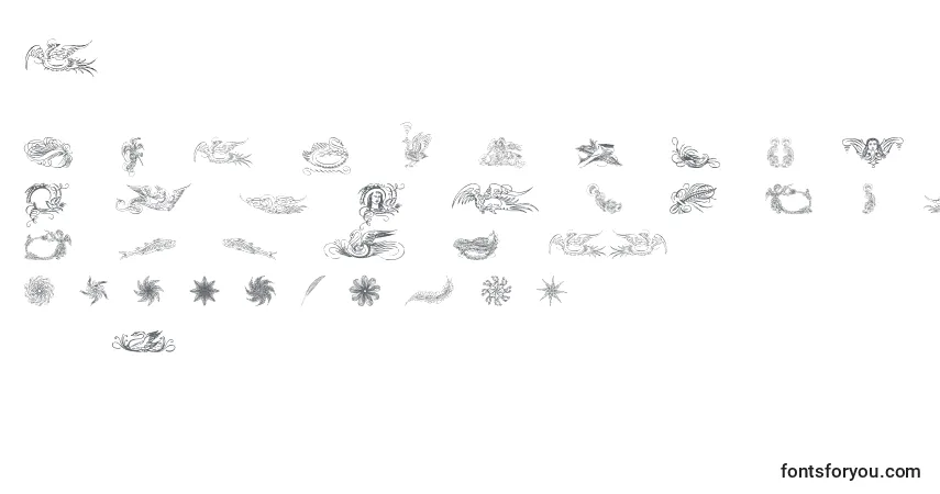 Caligrafiadivina-fontti – aakkoset, numerot, erikoismerkit