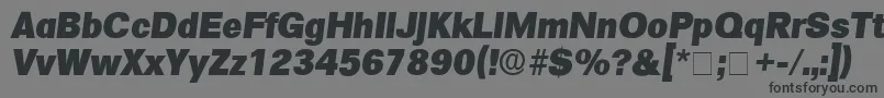 SalinaDisplaySsiItalic Font – Black Fonts on Gray Background