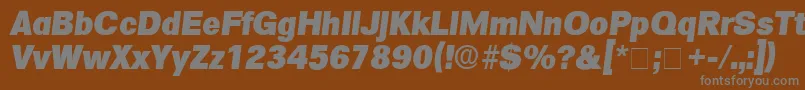 SalinaDisplaySsiItalic-fontti – harmaat kirjasimet ruskealla taustalla
